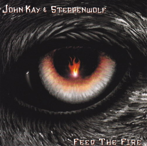 Pochette de Feed The Fire