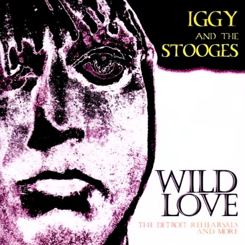 Pochette de Wild Love