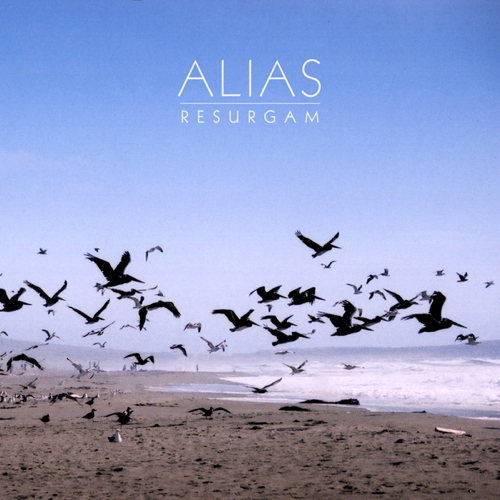 Pochette de Resurgam