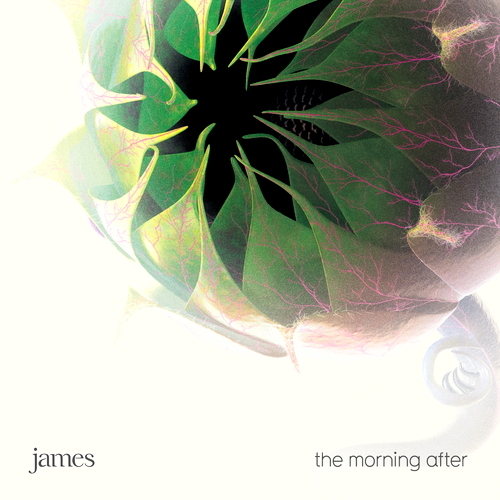 The Morning After