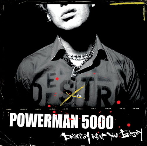 Pochette de Destroy What You Enjoy