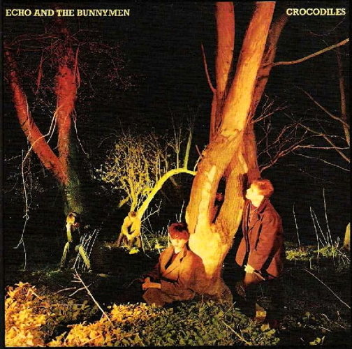 Crocodiles