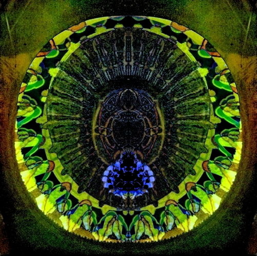 Ouroborous