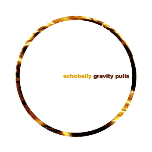 Pochette de Gravity Pulls