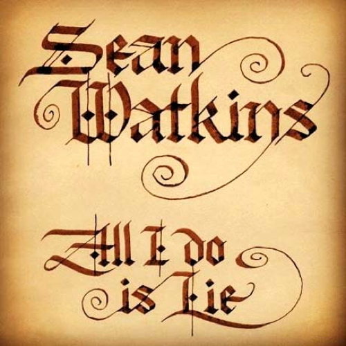 Pochette de All I Do Is Lie