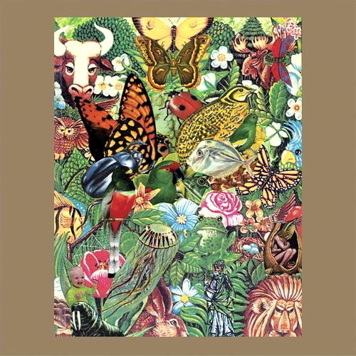 Pochette de Child God In The Garden Of Idols