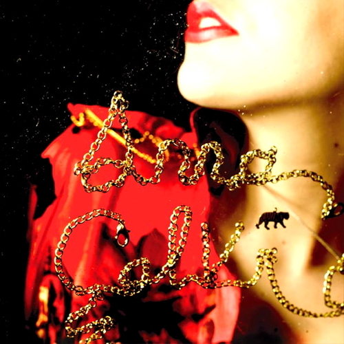 Pochette de Anna Calvi