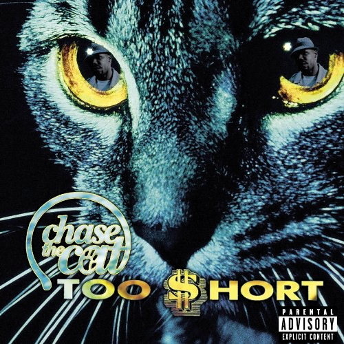 Pochette de Chase The Cat