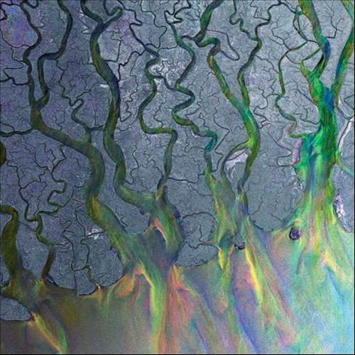 Pochette de An Awesome Wave