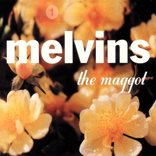 Pochette de The Maggot