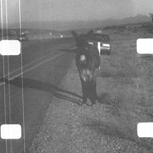 Pochette de Ambient Loop For Vancouver