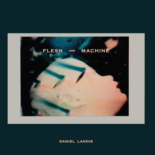 Pochette de Flesh & Machine
