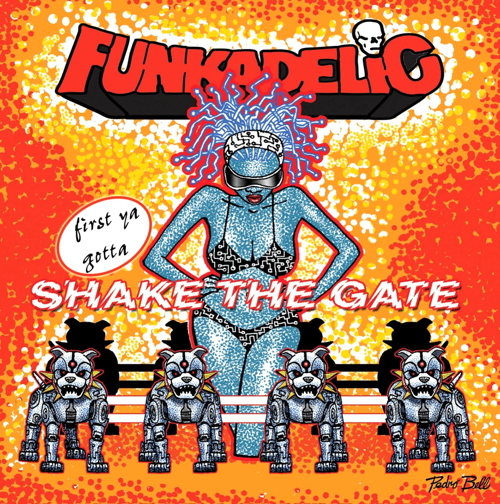 Pochette de First You Gotta Shake The Gate