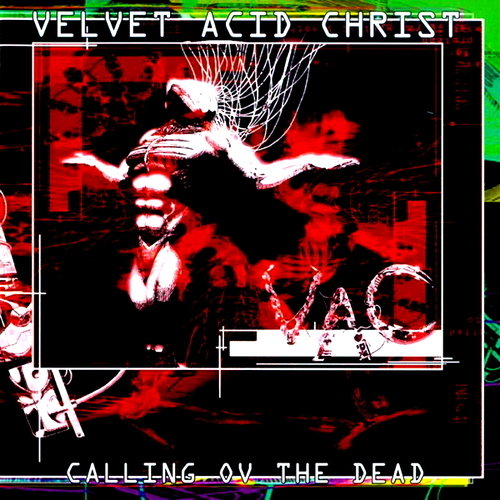 Pochette de Calling Ov The Dead