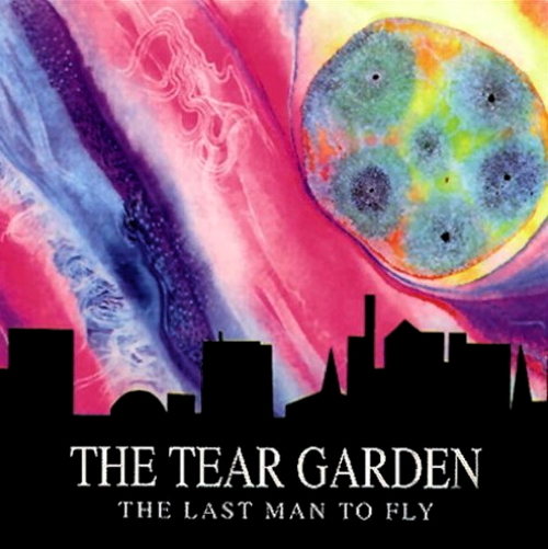 Pochette de The Last Man To Fly