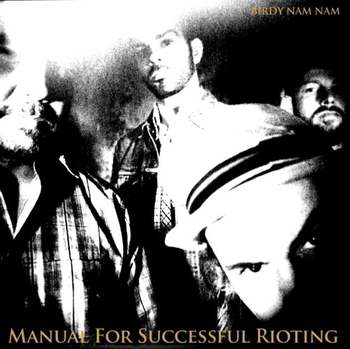 Manual For Successful Rioting