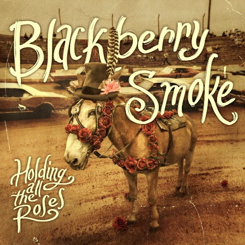 Pochette de Holding All The Roses