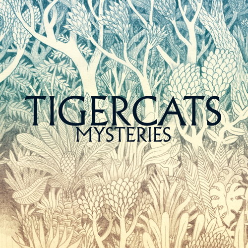 Pochette de Mysteries