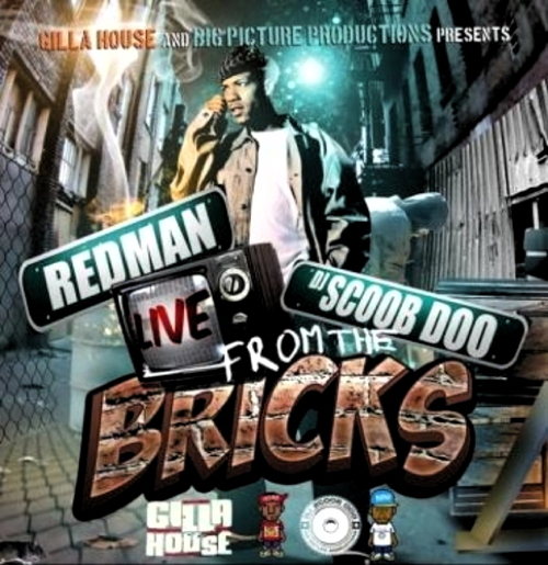 Pochette de Live From The Bricks
