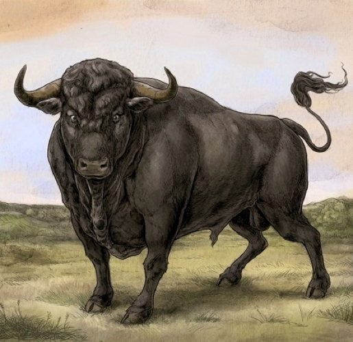 Pochette de San Fermin