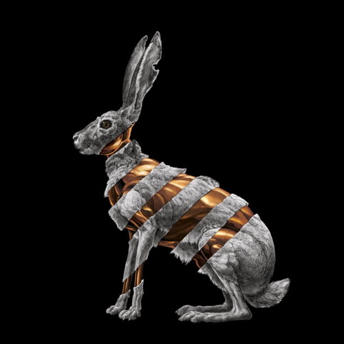 Pochette de Jackrabbit