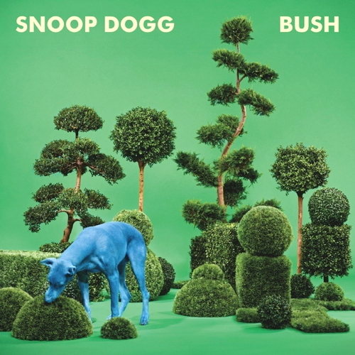 Pochette de Bush