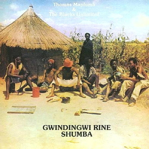 Pochette de Gwindingwi Rine Shumba