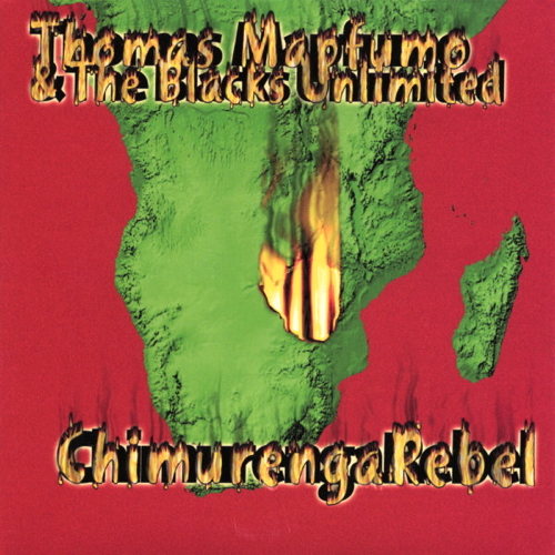 Pochette de Chimurenga Rebel