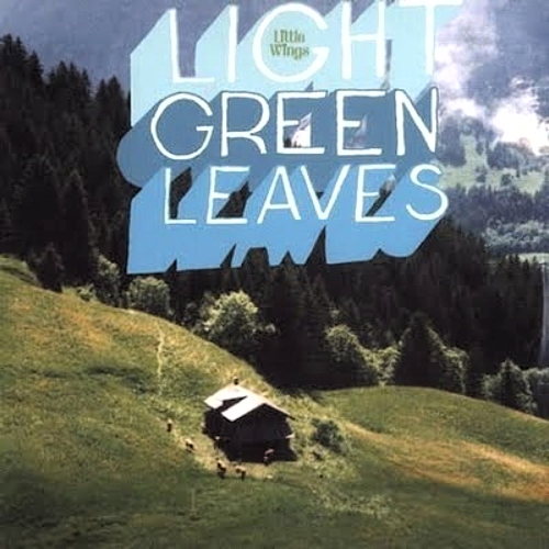 Pochette de Light Green Leaves