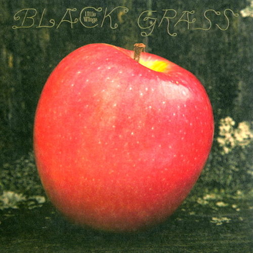 Pochette de Black Grass