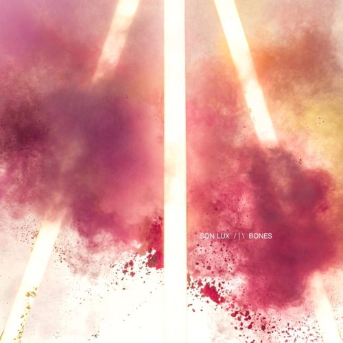 Pochette de Bones