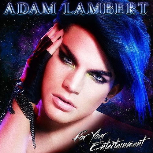 Pochette de For Your Entertainment