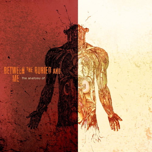 Pochette de The Anatomy Of