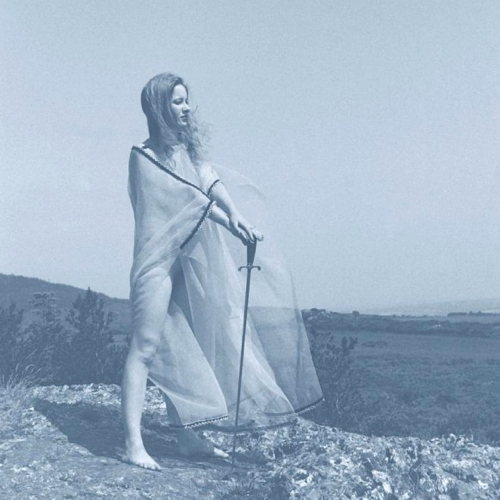 Pochette de Blue Record