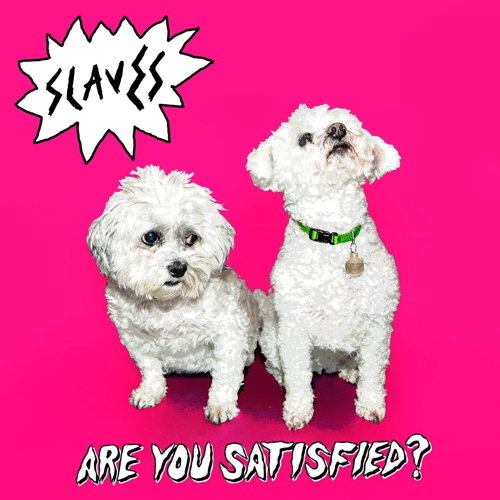 Pochette de Are You Satisfied?
