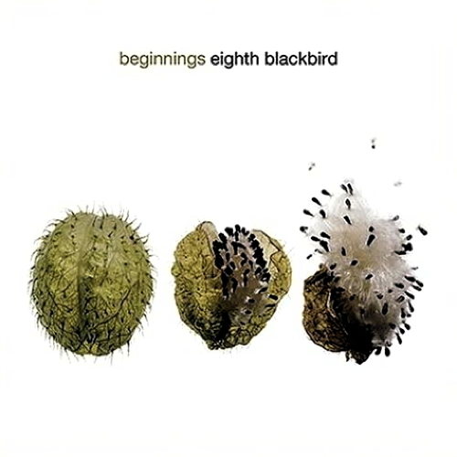 Pochette de Beginnings