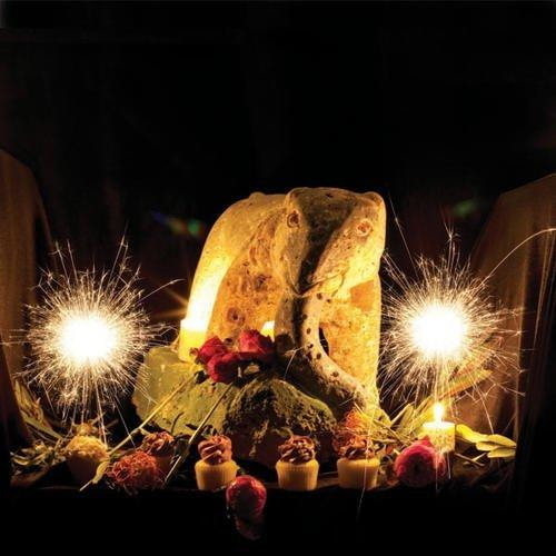 Pochette de Peter Buck