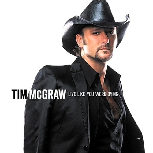Pochette de Live Like You Were Dying
