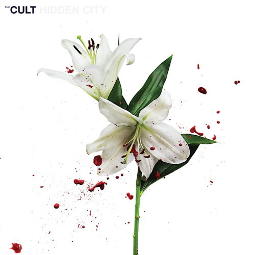 Pochette de Hidden City