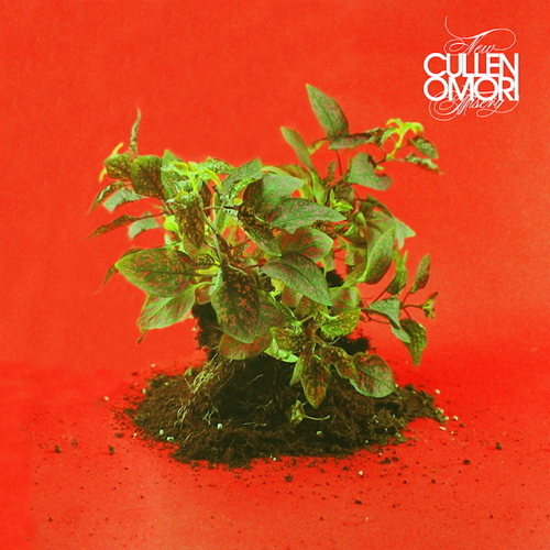 Pochette de New Misery