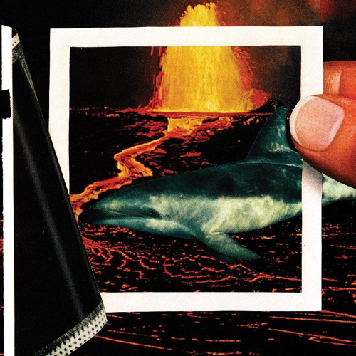 Pochette de We Disappear