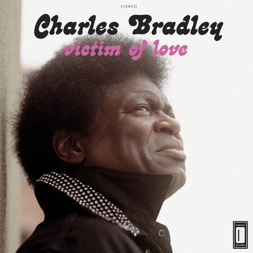 Pochette de Victim Of Love