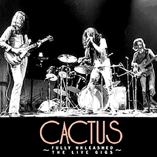 Pochette de Fully Unleashed: The Live Gigs
