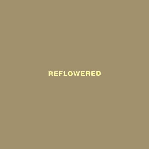 Pochette de Reflowered