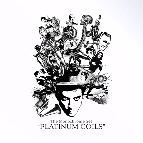 Platinum Coils