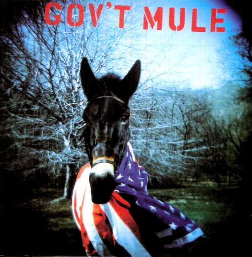 Pochette de Gov't Mule