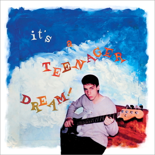 Pochette de It's A Teenager Dream