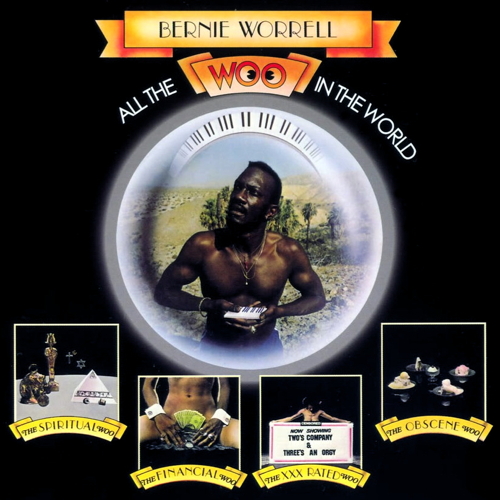 Pochette de All The Woo In The World