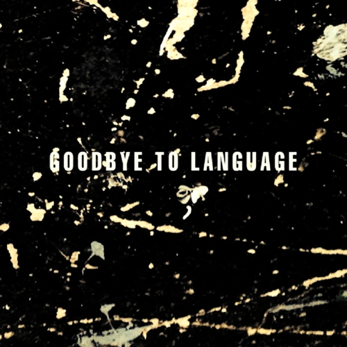 Pochette de Goodbye To Language