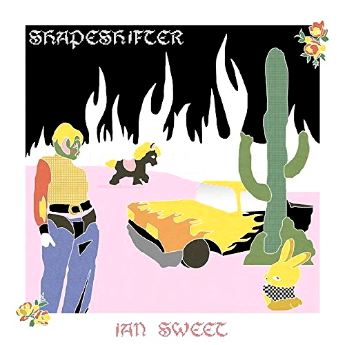 Pochette de Shapeshifter
